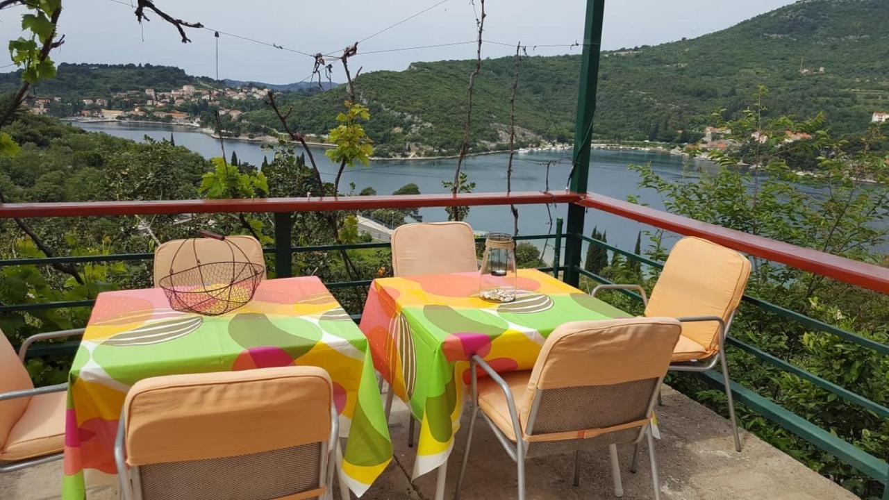 Bodul Vacation Apartment Zaton  Esterno foto