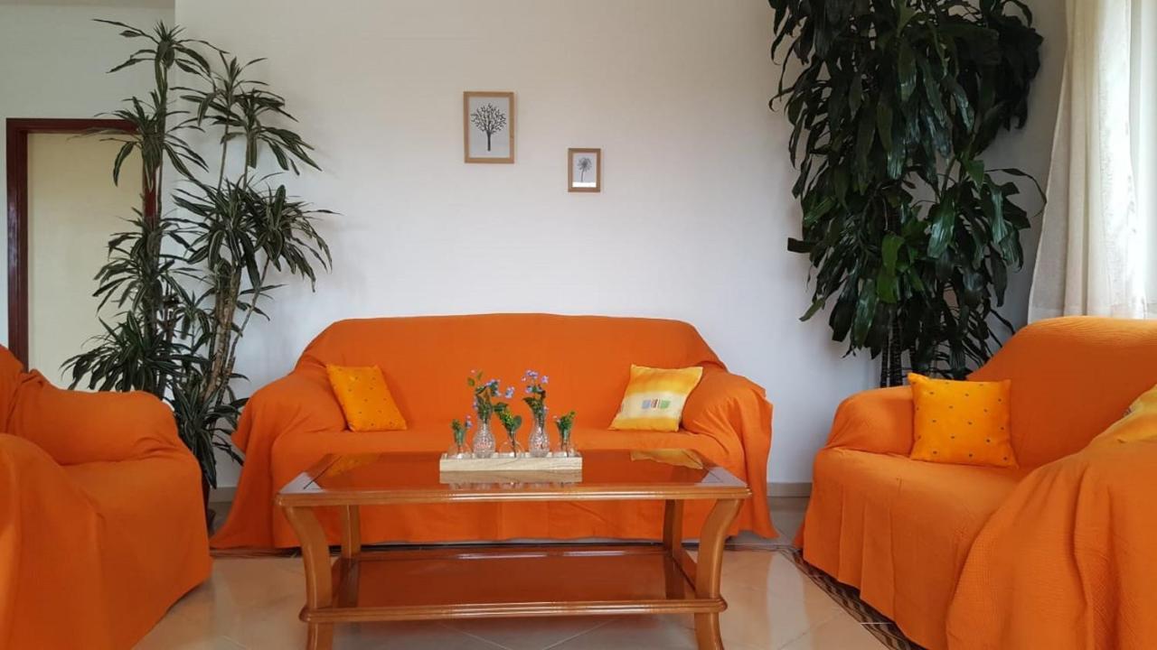 Bodul Vacation Apartment Zaton  Esterno foto